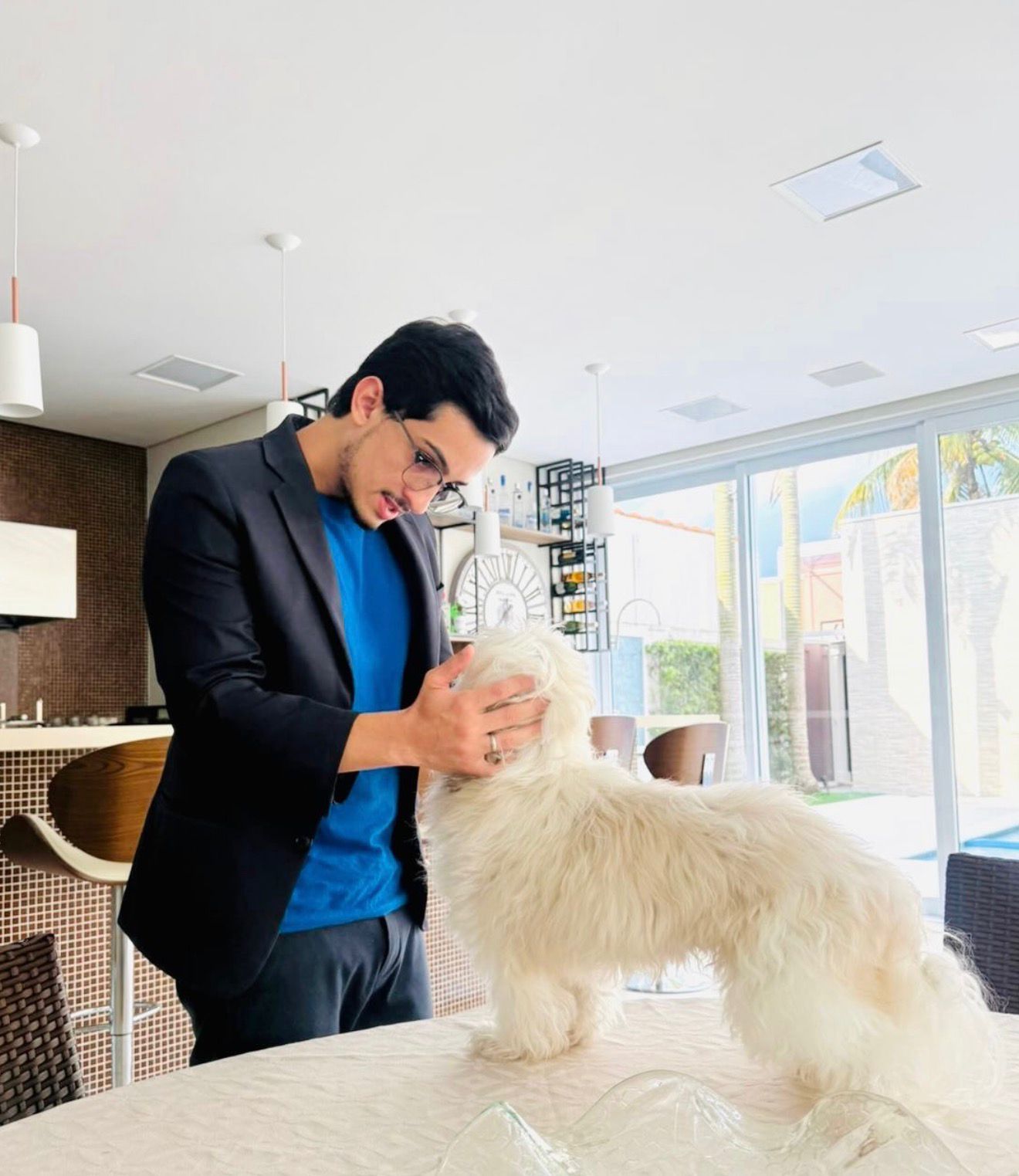 Poodle avaliado em domicílio