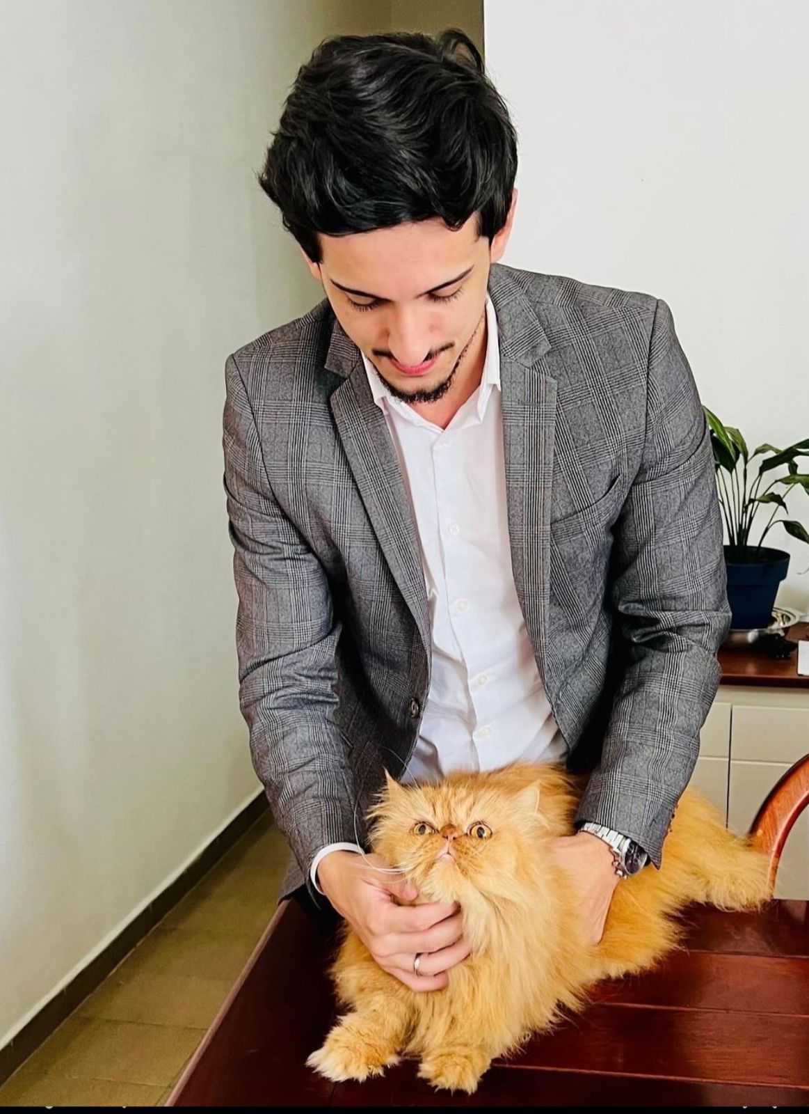 Atendimento de Felinos Landing Image